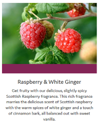 Raspberry-White-Ginger-Info